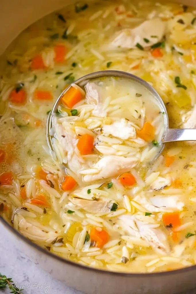 Bowl of Lemon Chicken Orzo Soup with fresh herbs and lemon slices
